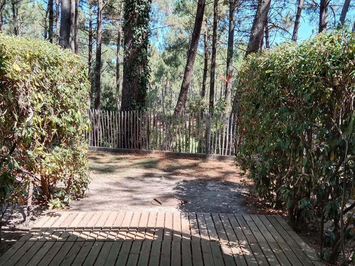 Holidays Resort Domaine Du Golf Piscine Chauffee D' Avril Au 1Er Octobre En Lisiere De Foret Avec Vue Sur La Pinede Lacanau-Ocean 외부 사진